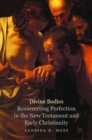 Image for Divine Bodies : Resurrecting Perfection in the New Testament and Early Christianity