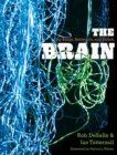 Image for The brain: big bangs, behaviors, and beliefs
