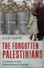 Image for The Forgotten Palestinians