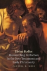 Image for Divine bodies: resurrecting perfection in the new testament and early Christianity