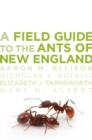 Image for A field guide to the ants of New England