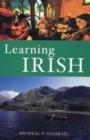 Image for Learning Irish