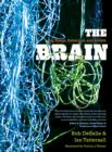 Image for The brain  : big bangs, behaviors, and beliefs