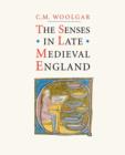 Image for The Senses in Late Medieval England