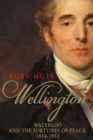 Image for Wellington: Waterloo and the fortunes of peace, 1814-1852