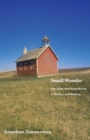 Image for Small Wonder : The Little Red Schoolhouse in History and Memory