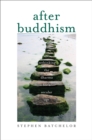 Image for After Buddhism: Rethinking the Dharma for a Secular Age