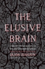 Image for The elusive brain  : literary experiments in the age of neuroscience