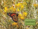 Image for Wings in the Light : Wild Butterflies in North America