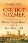 Image for One hot summer  : Dickens, Darwin, Disraeli, and the Great Stink of 1858