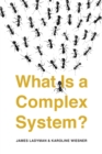 Image for What Is a Complex System?