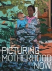 Image for Picturing Motherhood Now
