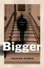 Image for Bigger : A Literary Life