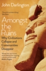 Image for Amongst the ruins: why civilizations collapse and communities disappear