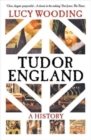 Image for Tudor England  : a history
