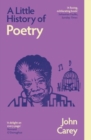 Image for A Little History of Poetry