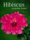 Image for Hibiscus