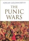 Image for The Punic wars