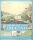 Image for The big house in Ireland