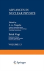 Image for Advances in Nuclear Physics : Volume 13