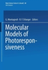 Image for Molecular Models of Photoresponsiveness