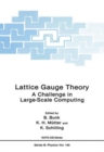 Image for Lattice Gauge Theory