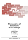 Image for Mechanisms of Secondary Brain Damage