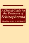Image for A Clinical Guide for the Treatment of Schizophrenia