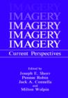 Image for Imagery : Current Perspectives