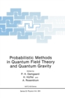 Image for Probabilistic Methods in Quantum Field Theory and Quantum Gravity : Workshop Proceedings