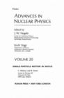 Image for Advances in Nuclear Physics : Volume 20