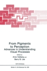 Image for From Pigments to Perception : Advances in Understanding the Visual Process - Workshop Proceedings