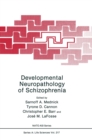 Image for Developmental Neuropathology of Schizophrenia : Proceedings