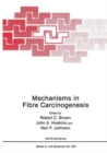 Image for Mechanisms in Fibre Carcinogenesis