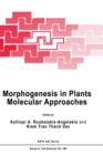 Image for Morphogenesis in Plants : Molecular Approaches