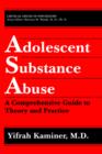 Image for Adolescent Substance Abuse : A Comprehensive Guide to Theory and Practice