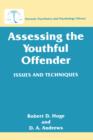 Image for Assessing the Youthful Offender : Issues and Techniques
