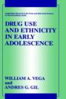 Image for Drug Use and Ethnicity in Early Adolescence