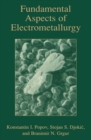 Image for Fundamental Aspects of Electrometallurgy