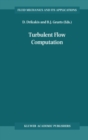 Image for Turbulent flow computation