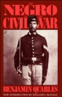 Image for The Negro In The Civil War