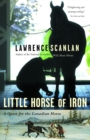 Image for Little Horse of Iron