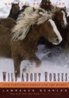 Image for Wild about horses: our timeless passion for the horse