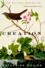 Image for Creation: a novel