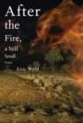 Image for After the Fire, a Still Small Voice
