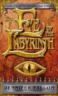 Image for Eye of the labyrinth