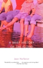 Image for A brief history of the flood: stories
