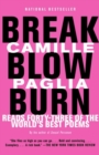 Image for Break, blow, burn