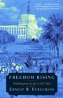 Image for Freedom rising: Washington in the Civil War