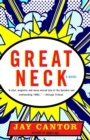 Image for Great Neck: a novel